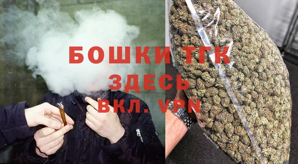 амф Новозыбков