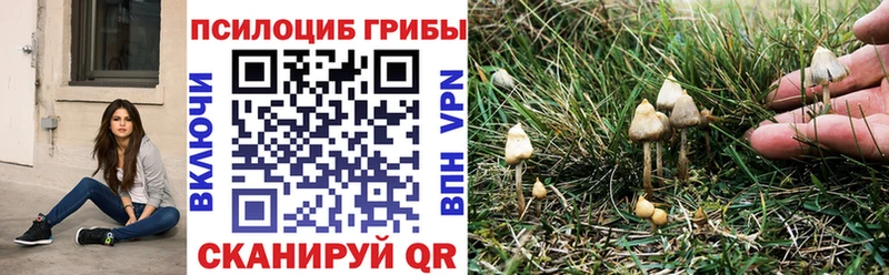 Галлюциногенные грибы ЛСД  купить   Безенчук 